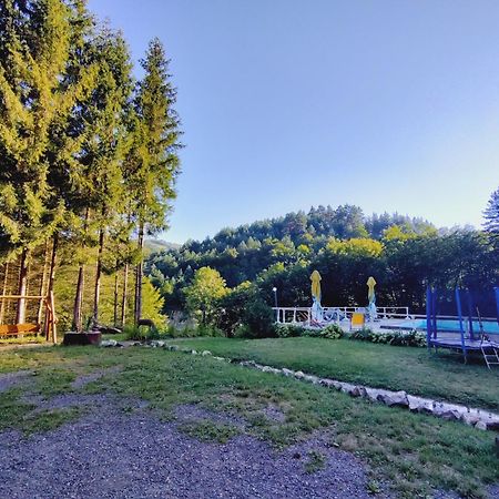 Cabana Cerbu Hotel Bozovici Exterior photo